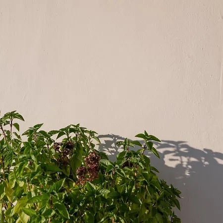 度假居 Enplo Above Grikos Bay (Patmos)